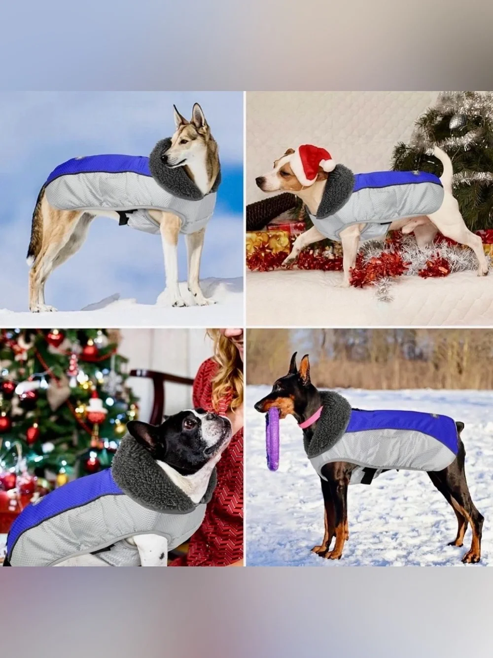 Petglad Dog Coat, Waterproof Ripstop Dog Winter Jacket